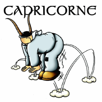 MAM'GOUDIG Capricorne